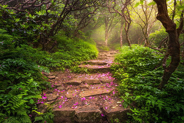 Spiritual Evolution